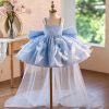 Blue Floral Feather Tulle Flower Girl Dress with Sheer Train J506